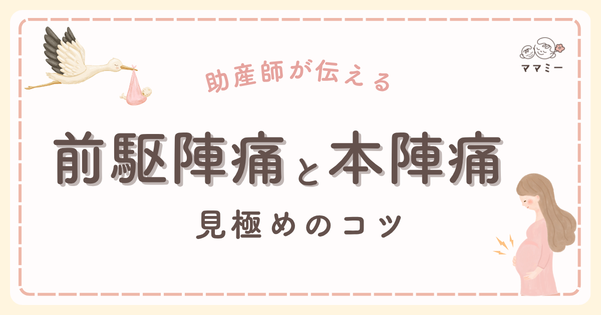こんにちは、ママミーです。 もうすぐ赤ちゃんに会える、そんな期待とともに、下腹部の張りや痛みが気になり始める時期。 けれど「これは前駆陣痛？それとも本陣痛？」と戸惑うママは少なくありません。 陣痛の種類を理解し、適切に対処できれば、いざというとき落ち着いて行動できるね！ 今回は助産師の視点で、前駆陣痛と本陣痛の違いを見極めるコツをお伝えします。